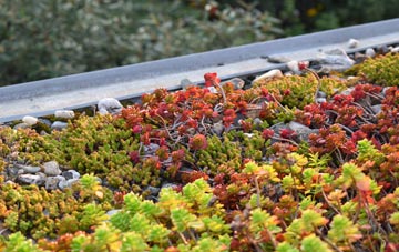 the cost of Little Bosullow green roof installation