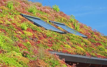 Little Bosullow living roof systems